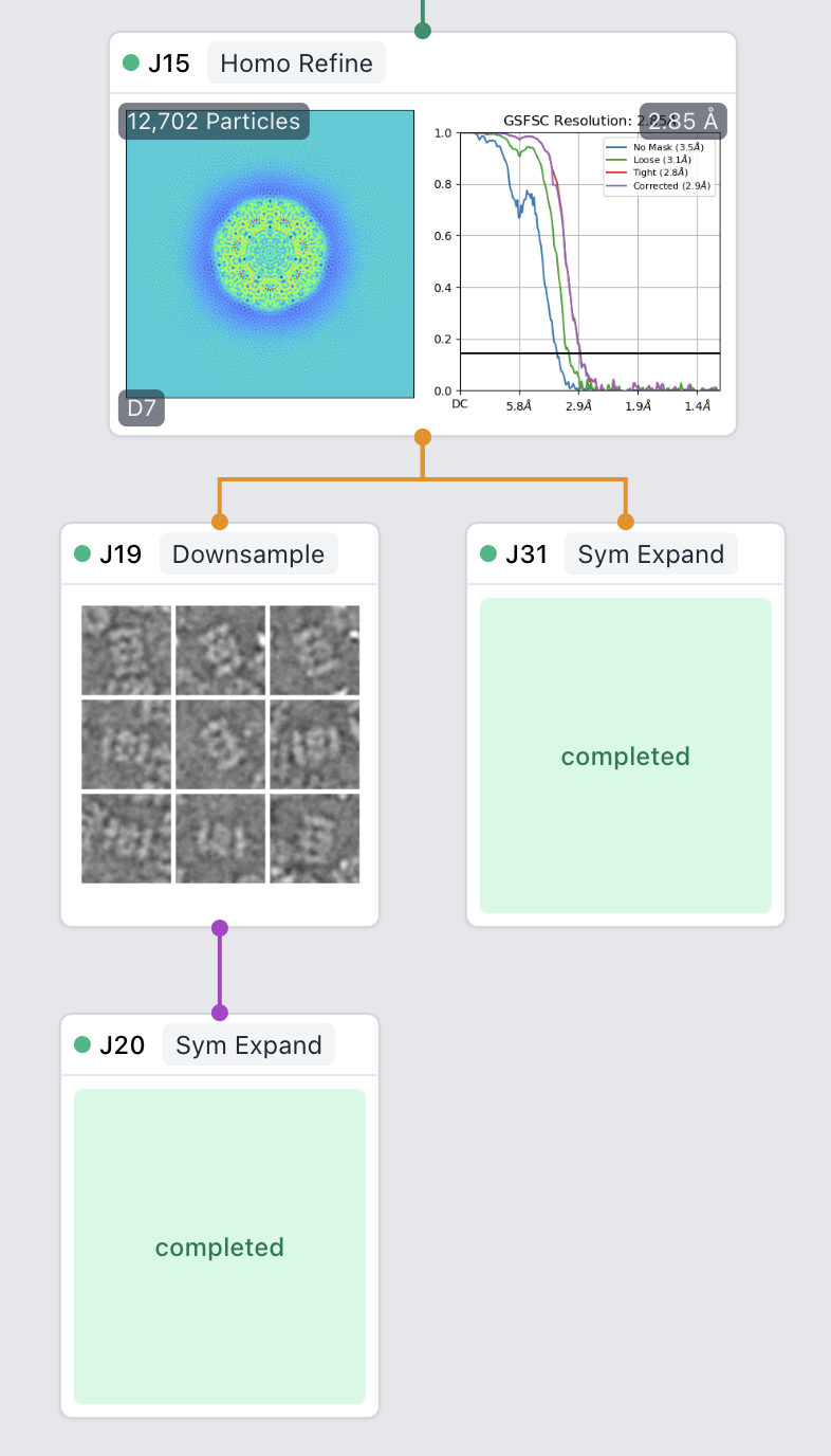 An example of the workflow expected for this script. J15 is the consensus refinement, J31 the full-size symmetry expansion, and J20 the downsampled, symmetry-expanded particles.
